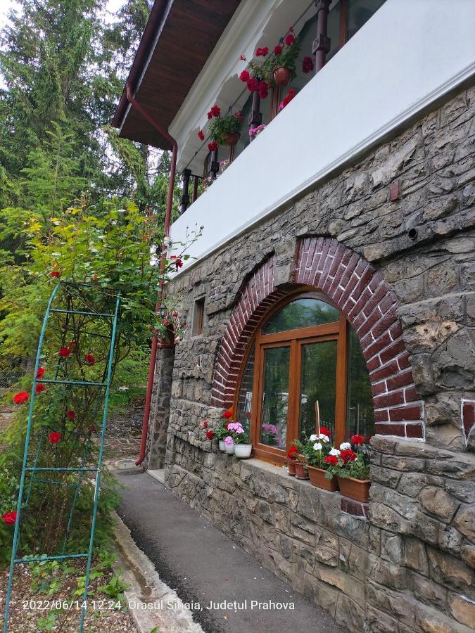 Casa Olguta Sinaia Exterior foto