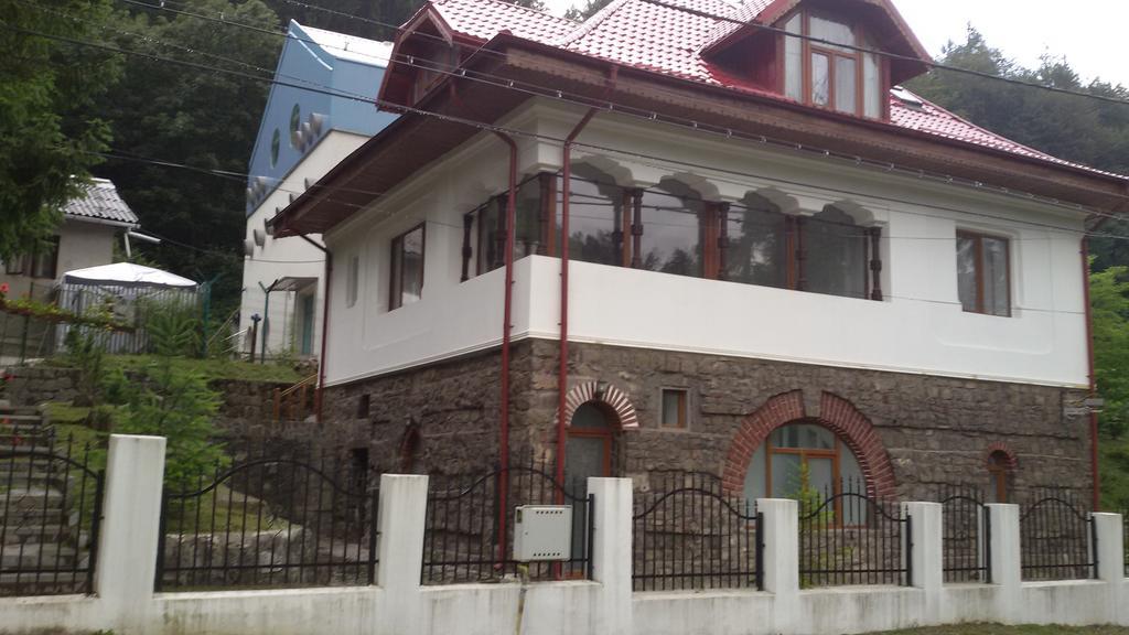 Casa Olguta Sinaia Exterior foto