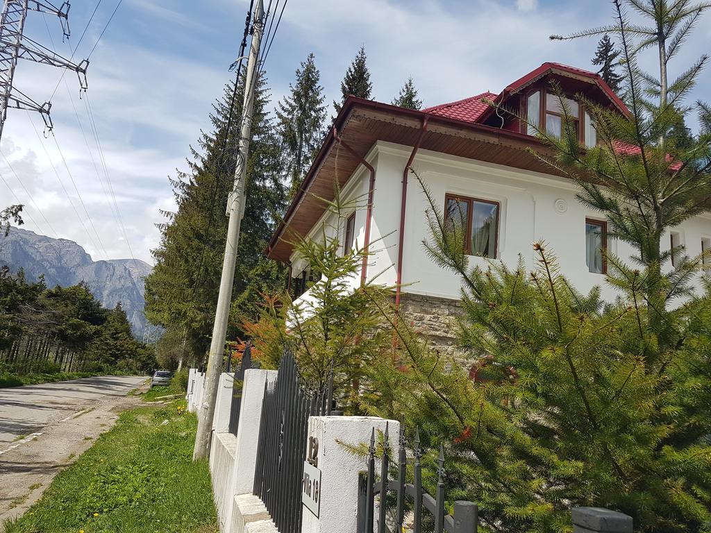 Casa Olguta Sinaia Exterior foto