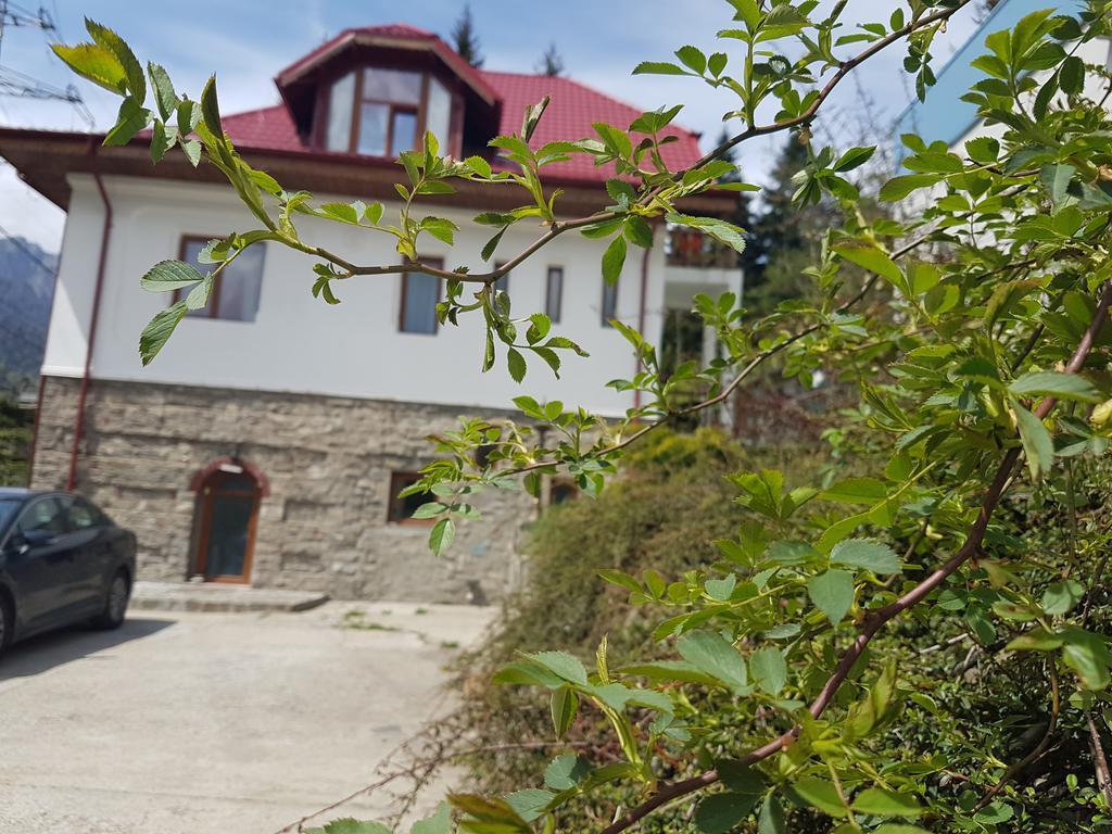 Casa Olguta Sinaia Exterior foto